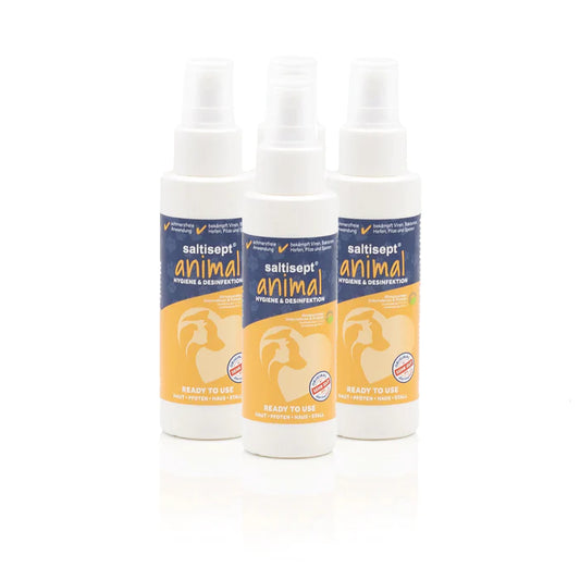 Saltisept Animal 100ml 3x flaconi con testina spray
