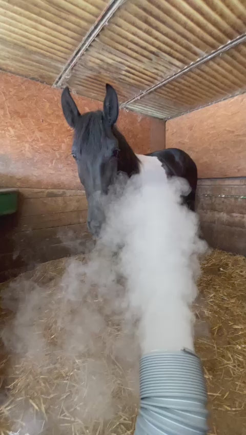 Carica il video: 